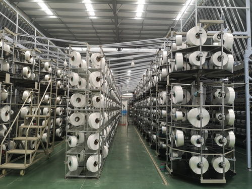 科技引領(lǐng)，創(chuàng)新賦能 紡織服裝產(chǎn)業(yè)集群高質(zhì)量發(fā)展沭陽論道