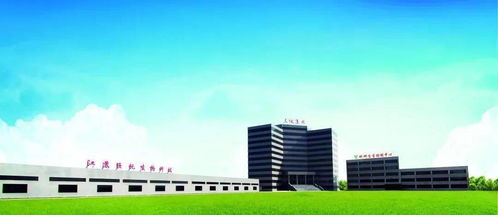 益生菌在家畜腹瀉防治中的作用機制與應(yīng)用研究——兼論紡織科技服務(wù)在農(nóng)業(yè)領(lǐng)域的跨界啟示