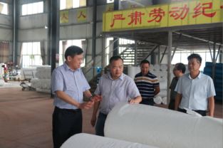肖立新深入桃江縣環(huán)宇紡織新材料科技走訪調(diào)研，共謀紡織科技研究服務(wù)新篇章
